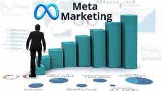 Meta Analytics